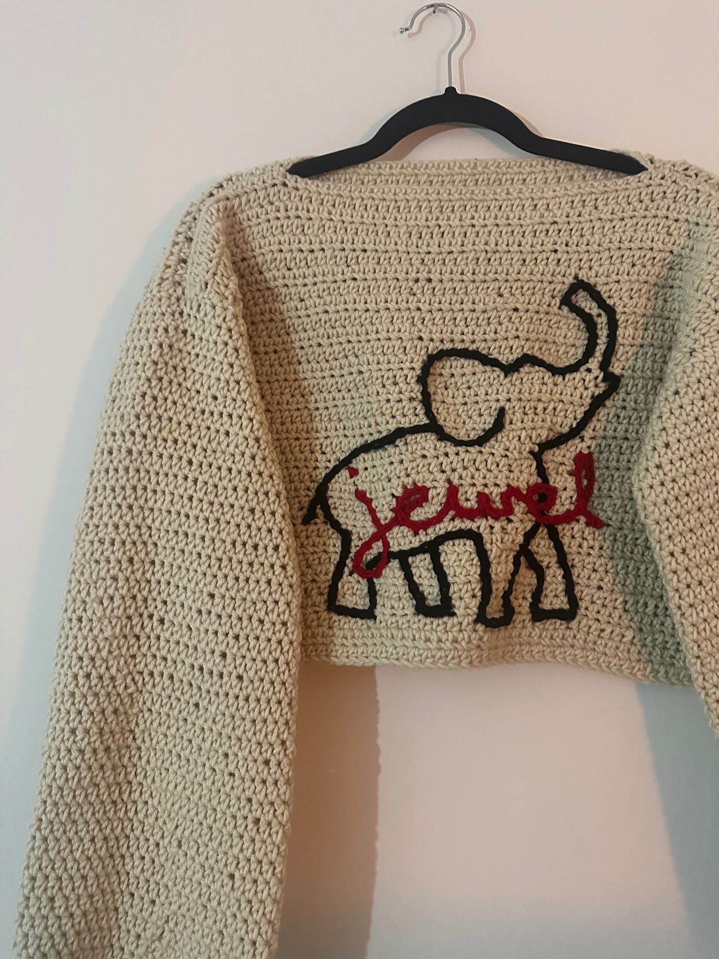 Custom Delta Sweater