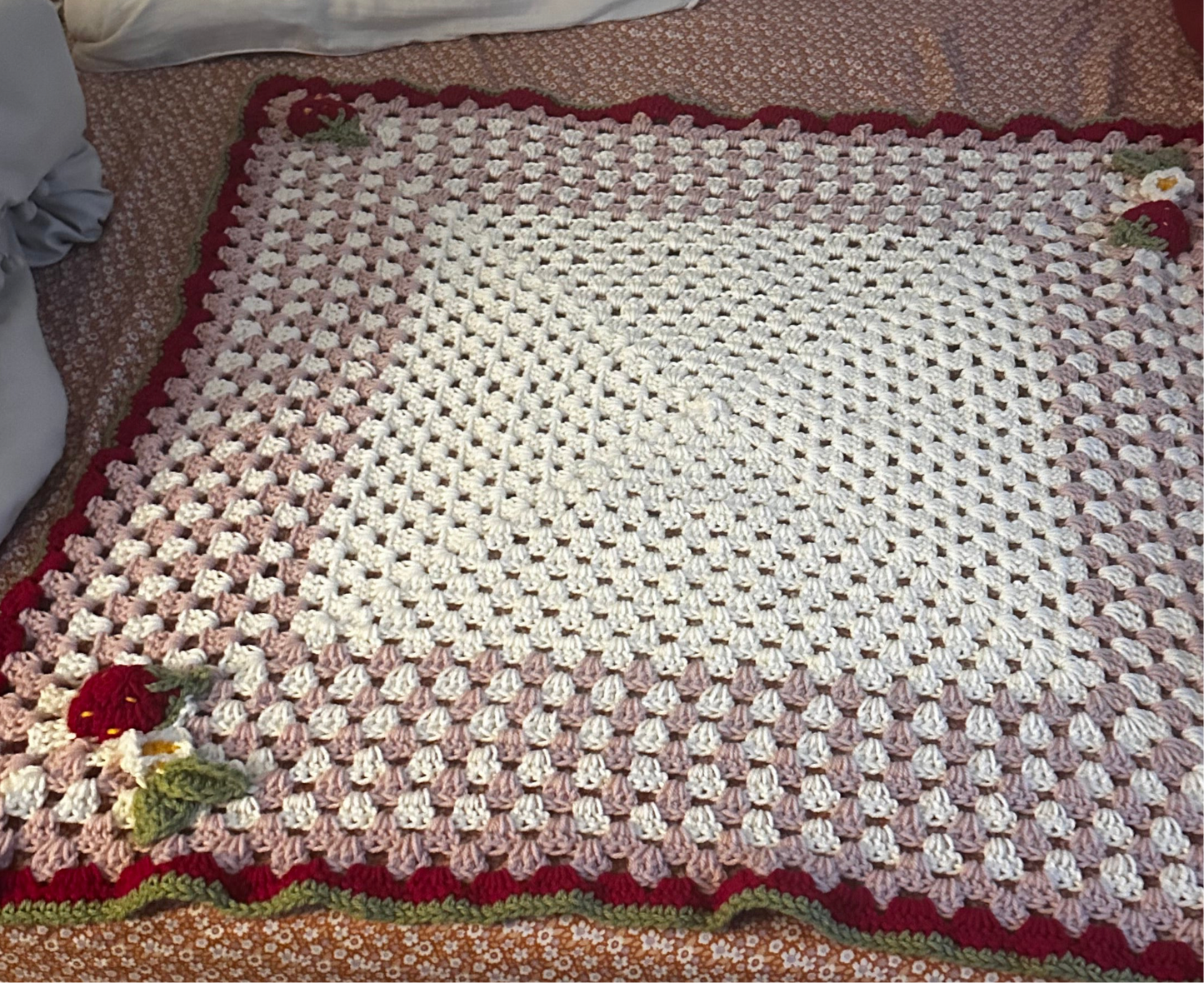 Strawberry Shortcake Baby Blanket 🍓✨💕