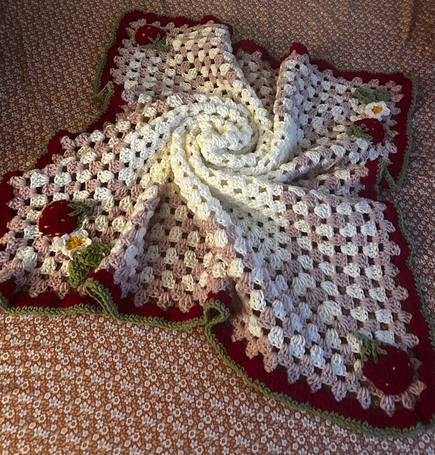 Strawberry Shortcake Baby Blanket 🍓✨💕